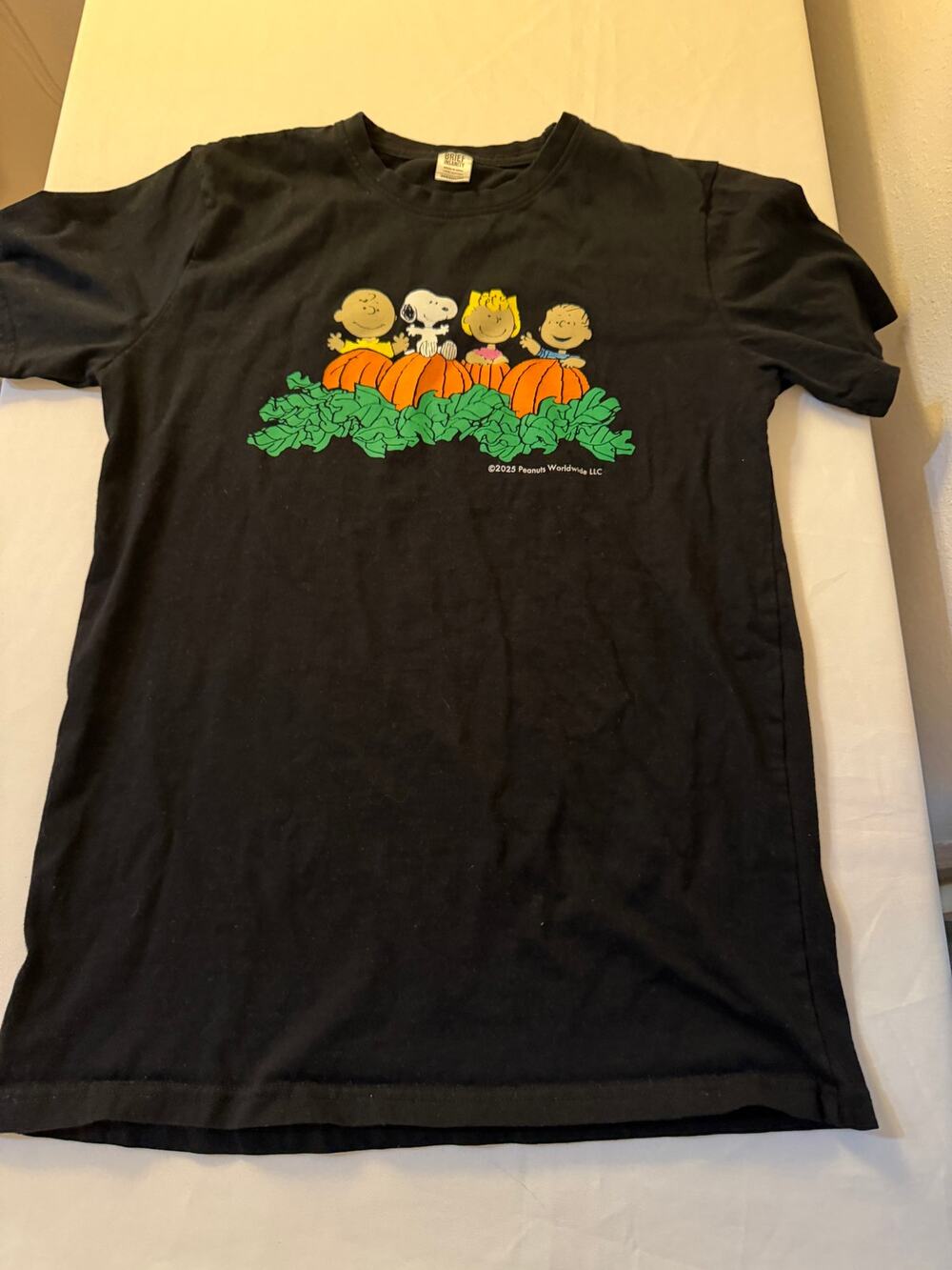 Peanuts Snoopy Charlie Brown Pumpkin Patch Halloween Black T-Shirt Medium